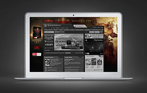 Blizzard Diablo 3 page skin